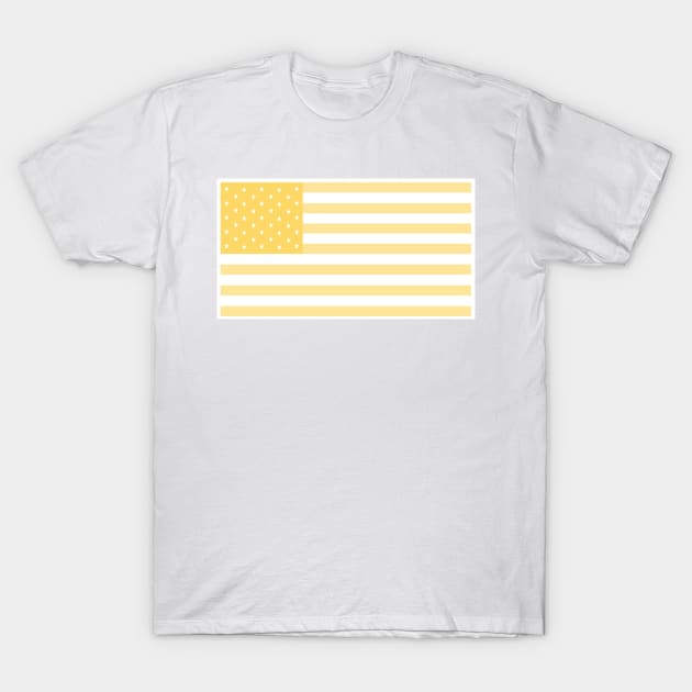 United States Gold Flag T-Shirt by AurumBrand